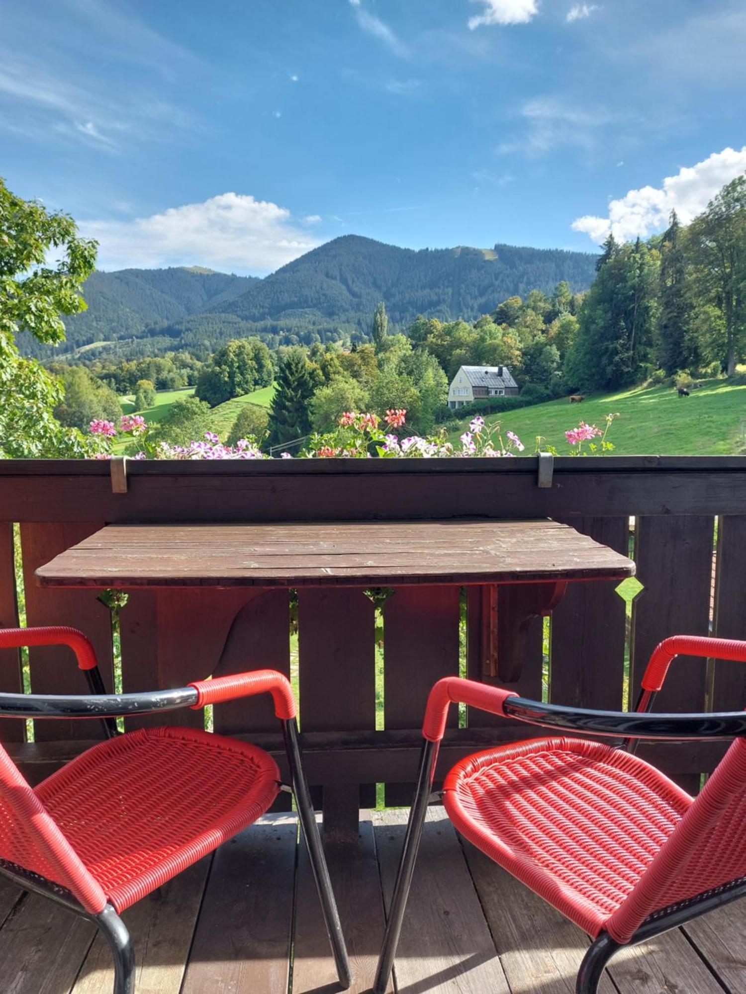 Landhaus Schoenblick Bad Kohlgrub Kültér fotó