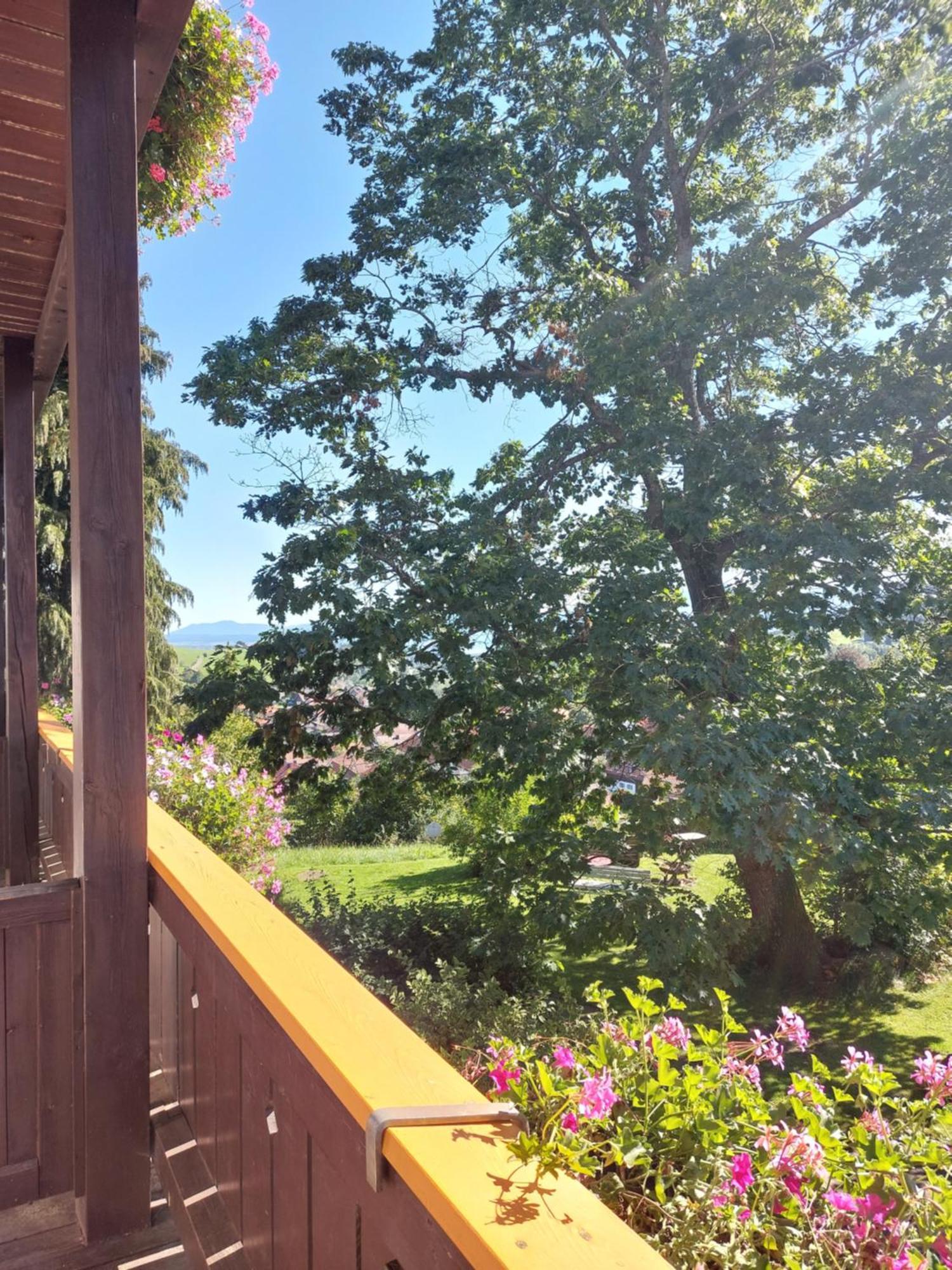 Landhaus Schoenblick Apartman Bad Kohlgrub Kültér fotó